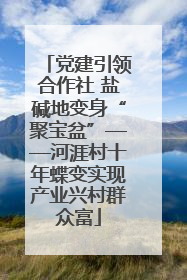 党建引领合作社 盐碱地变身“聚宝盆”——河涯村十年蝶变实现产业兴村群众富