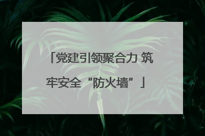 党建引领聚合力 筑牢安全“防火墙”
