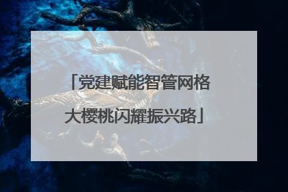 党建赋能智管网格 大樱桃闪耀振兴路
