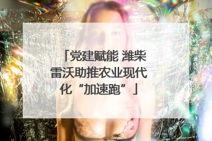党建赋能 潍柴雷沃助推农业现代化“加速跑”