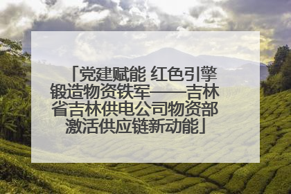 党建赋能 红色引擎锻造物资铁军——吉林省吉林供电公司物资部激活供应链新动能