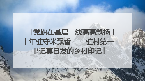 党旗在基层一线高高飘扬丨十年驻守米飘香——驻村第一书记莫日发的乡村印记