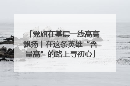 党旗在基层一线高高飘扬丨在这条英雄“含量高”的路上寻初心