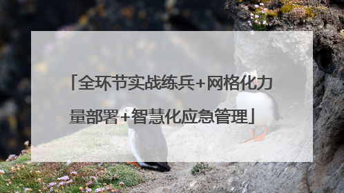 全环节实战练兵+网格化力量部署+智慧化应急管理