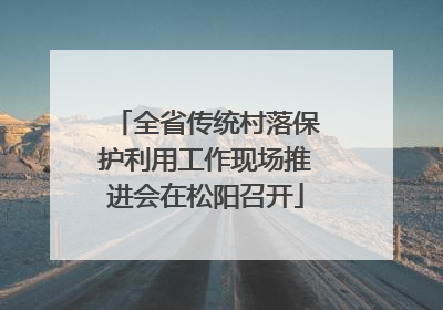 全省传统村落保护利用工作现场推进会在松阳召开