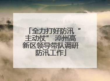 全力打好防汛“主动仗” 漳州高新区领导带队调研防汛工作