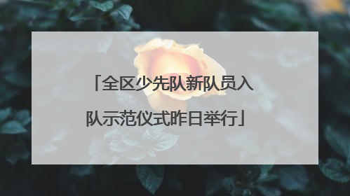 全区少先队新队员入队示范仪式昨日举行