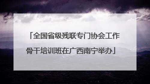 全国省级残联专门协会工作骨干培训班在广西南宁举办