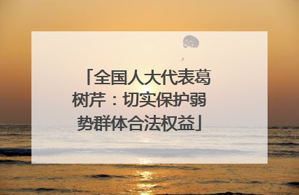 全国人大代表葛树芹：切实保护弱势群体合法权益