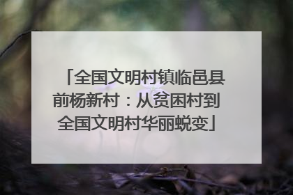 全国文明村镇临邑县前杨新村：从贫困村到全国文明村华丽蜕变