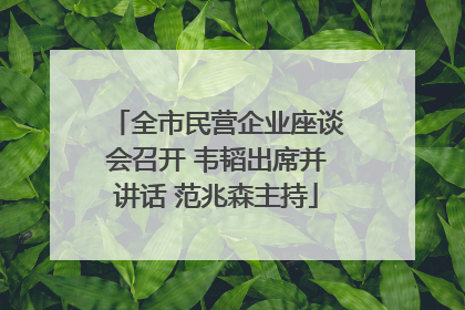 全市民营企业座谈会召开 韦韬出席并讲话 范兆森主持