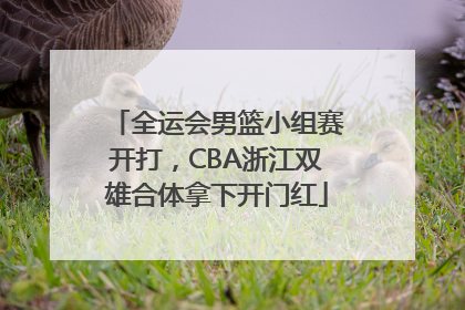 全运会男篮小组赛开打，CBA浙江双雄合体拿下开门红