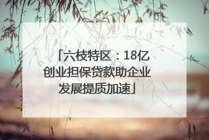六枝特区：18亿创业担保贷款助企业发展提质加速