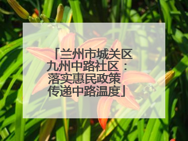 兰州市城关区九州中路社区：落实惠民政策 传递中路温度