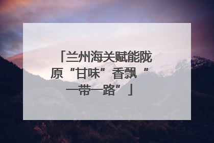 兰州海关赋能陇原“甘味”香飘“一带一路”