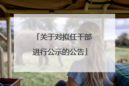 关于对拟任干部进行公示的公告