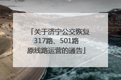 关于济宁公交恢复317路、501路原线路运营的通告