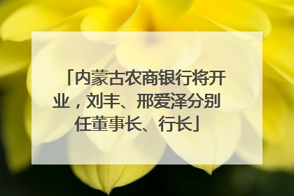 内蒙古农商银行将开业，刘丰、邢爱泽分别任董事长、行长