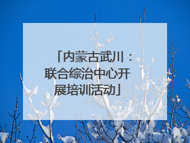 内蒙古武川：联合综治中心开展培训活动