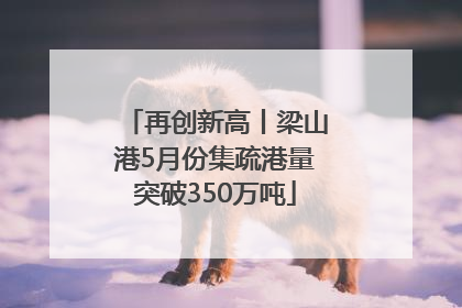 再创新高丨梁山港5月份集疏港量突破350万吨