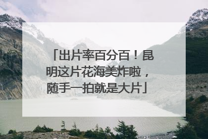 出片率百分百！昆明这片花海美炸啦，随手一拍就是大片
