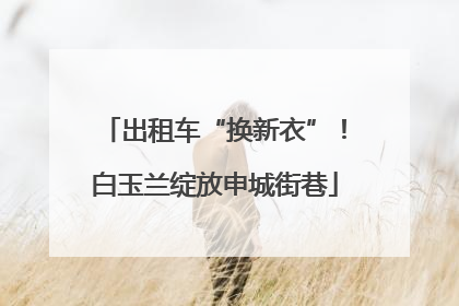出租车“换新衣”！白玉兰绽放申城街巷