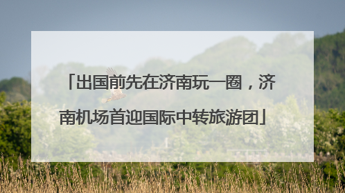出国前先在济南玩一圈，济南机场首迎国际中转旅游团