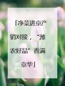 净菜进京产销对接，“潍农好品”香满京华