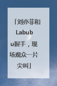 刘亦菲和Labubu握手，现场观众一片尖叫