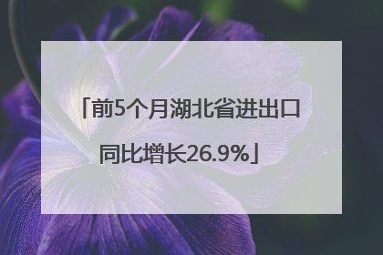 前5个月湖北省进出口同比增长26.9%