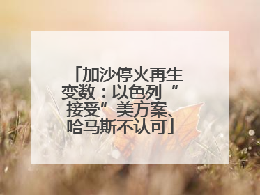 加沙停火再生变数：以色列“接受”美方案、哈马斯不认可