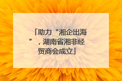 助力“湘企出海”，湖南省湘非经贸商会成立