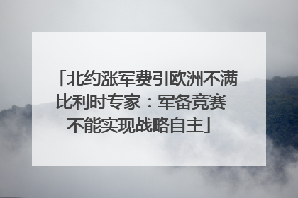 北约涨军费引欧洲不满 比利时专家：军备竞赛不能实现战略自主