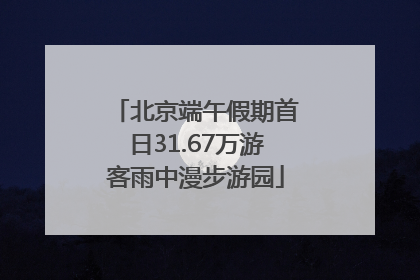 北京端午假期首日31.67万游客雨中漫步游园