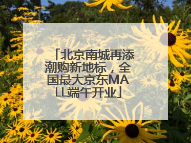 北京南城再添潮购新地标，全国最大京东MALL端午开业