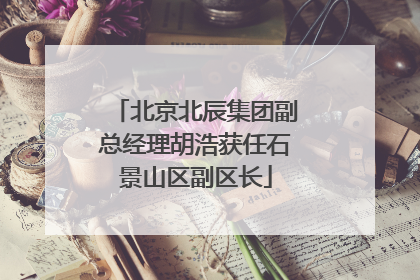 北京北辰集团副总经理胡浩获任石景山区副区长