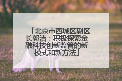 北京市西城区副区长郭洁：积极探索金融科技创新监管的新模式和新方法