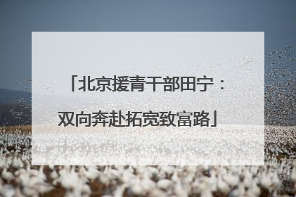 北京援青干部田宁：双向奔赴拓宽致富路