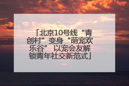 北京10号线“青创村”变身“萌宠欢乐谷” 以宠会友解锁青年社交新范式