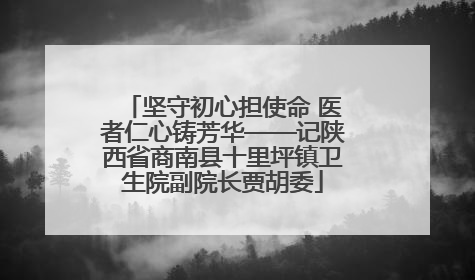 坚守初心担使命 医者仁心铸芳华——记陕西省商南县十里坪镇卫生院副院长贾胡委