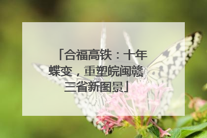 合福高铁：十年蝶变，重塑皖闽赣三省新图景