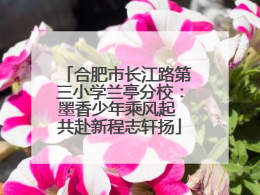 合肥市长江路第三小学兰亭分校：墨香少年乘风起 共赴新程志轩扬