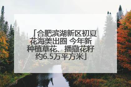 合肥滨湖新区初夏花海美出圈 今年新种植草花、播撒花籽约6.5万平方米