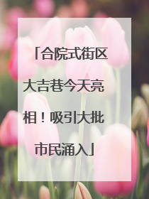 合院式街区大吉巷今天亮相！吸引大批市民涌入