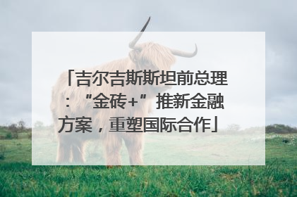 吉尔吉斯斯坦前总理：“金砖+”推新金融方案，重塑国际合作
