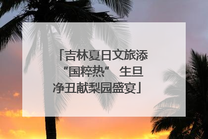 吉林夏日文旅添“国粹热” 生旦净丑献梨园盛宴