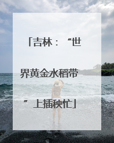 吉林：“世界黄金水稻带”上插秧忙