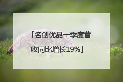 名创优品一季度营收同比增长19%