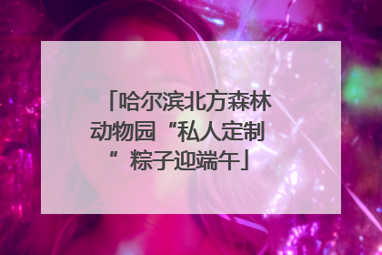 哈尔滨北方森林动物园“私人定制”粽子迎端午