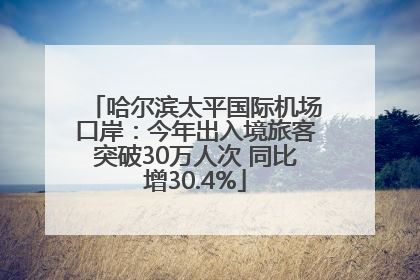 哈尔滨太平国际机场口岸：今年出入境旅客突破30万人次 同比增30.4%